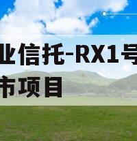 大业信托-RX1号泰州市项目
