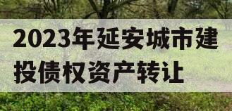 2023年延安城市建投债权资产转让