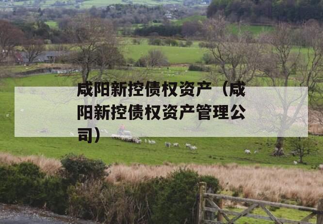 咸阳新控债权资产（咸阳新控债权资产管理公司）