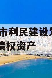 邹城市利民建设发展2023债权资产