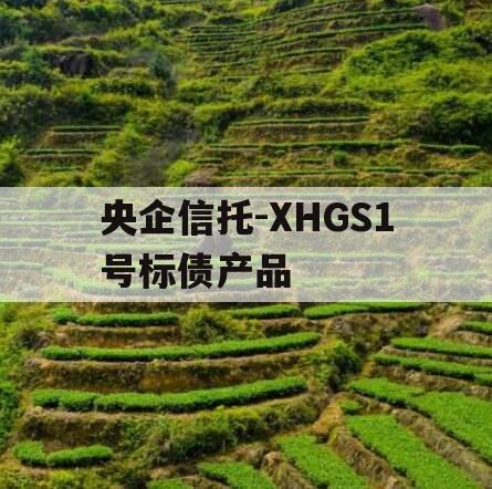 央企信托-XHGS1号标债产品 央企信托-XHGS1号标债产品