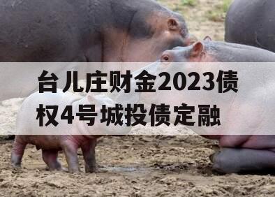 台儿庄财金2023债权4号城投债定融 台儿庄财金2023债权4号城投债定融