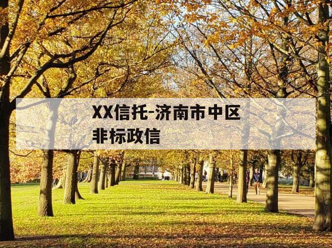 XX信托-济南市中区非标政信