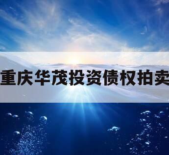 重庆华茂投资债权拍卖
