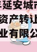 2023年延安城市建投债权资产转让（延安城投置业有限公司官网）