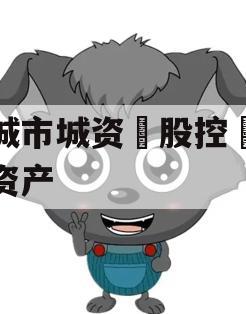 邹城市城资‮股控‬债权资产