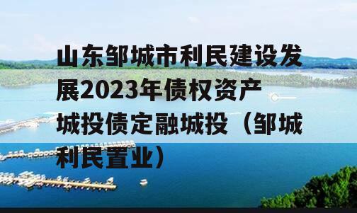 山东邹城市利民建设发展2023年债权资产城投债定融城投（邹城利民置业）