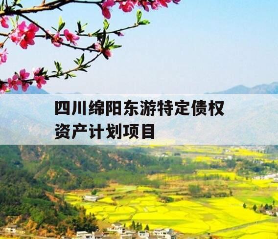 四川绵阳东游特定债权资产计划项目 四川绵阳东游特定债权资产计划项目