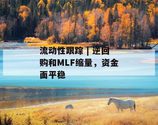 流动性跟踪 | 逆回购和MLF缩量，资金面平稳