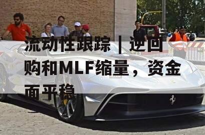 流动性跟踪 | 逆回购和MLF缩量，资金面平稳