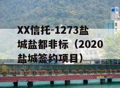XX信托-1273盐城盐都非标（2020盐城签约项目）
