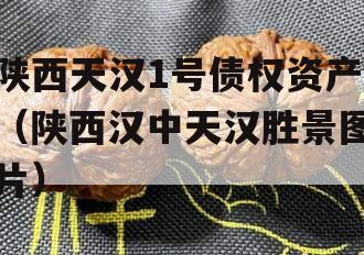 陕西天汉1号债权资产（陕西汉中天汉胜景图片）