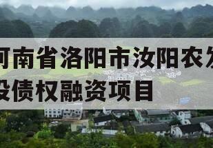 河南省洛阳市汝阳农发投债权融资项目