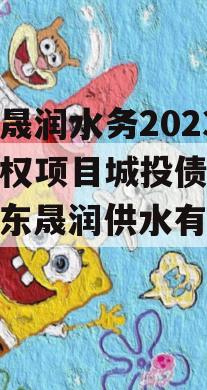 山东晟润水务2023年债权项目城投债定融（山东晟润供水有限公司）