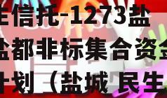 民生信托-1273盐城盐都非标集合资金信托计划（盐城 民生）
