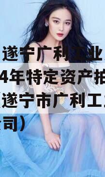 四川遂宁广利工业发展2024年特定资产拍卖（遂宁市广利工业发展公司）