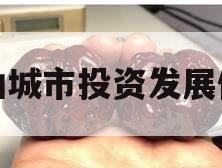 江油城市投资发展债权