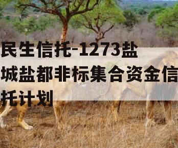 民生信托-1273盐城盐都非标集合资金信托计划