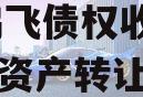 江油鸿飞债权收益权2024年资产转让 江油鸿飞债权收益权2024年资产转让