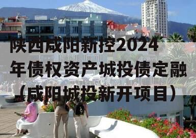 陕西咸阳新控2024年债权资产城投债定融（咸阳城投新开项目）