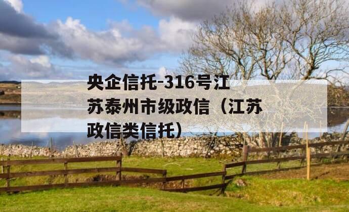 央企信托-316号江苏泰州市级政信（江苏政信类信托）