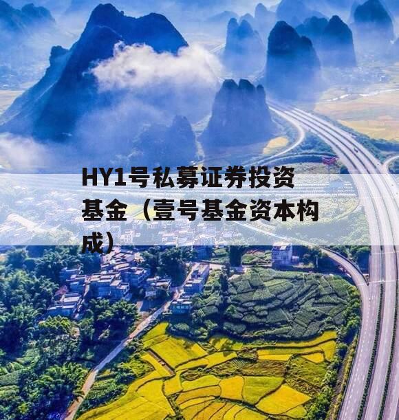HY1号私募证券投资基金（壹号基金资本构成）
