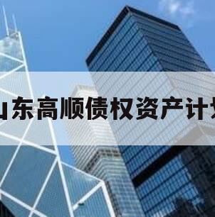 山东高顺债权资产计划