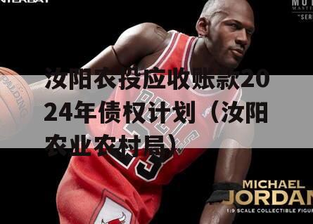 汝阳农投应收账款2024年债权计划（汝阳农业农村局）