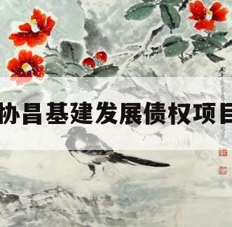 协昌基建发展债权项目