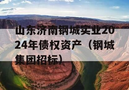 山东济南钢城实业2024年债权资产（钢城集团招标）