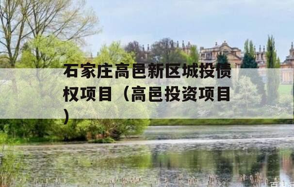 石家庄高邑新区城投债权项目（高邑投资项目）
