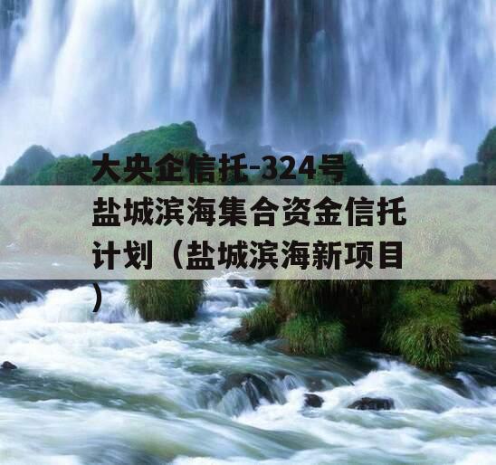 大央企信托-324号盐城滨海集合资金信托计划（盐城滨海新项目）