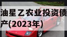 江油星乙农业投资债权资产(2023年)