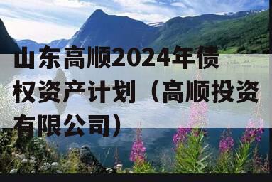山东高顺2024年债权资产计划（高顺投资有限公司）