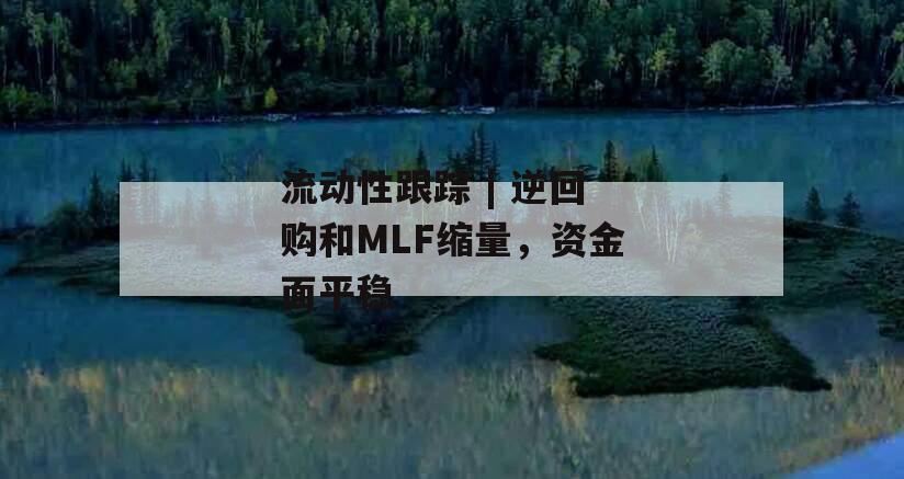 流动性跟踪 | 逆回购和MLF缩量，资金面平稳