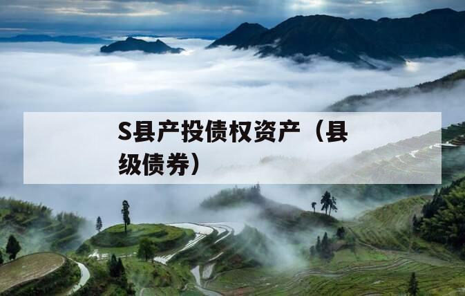 S县产投债权资产（县级债券）