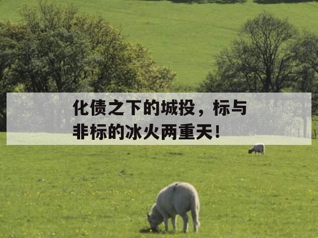 化债之下的城投，标与非标的冰火两重天！