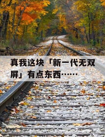 真我这块「新一代无双屏」有点东西……
