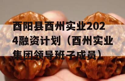 酉阳县酉州实业2024融资计划（酉州实业集团领导班子成员）