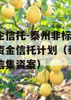 央企信托-泰州非标集合资金信托计划（泰州政信集资案）