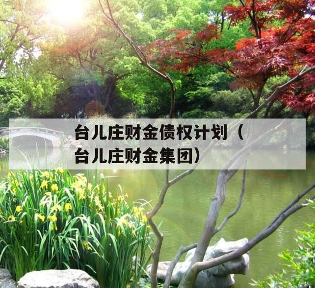 台儿庄财金债权计划（台儿庄财金集团）