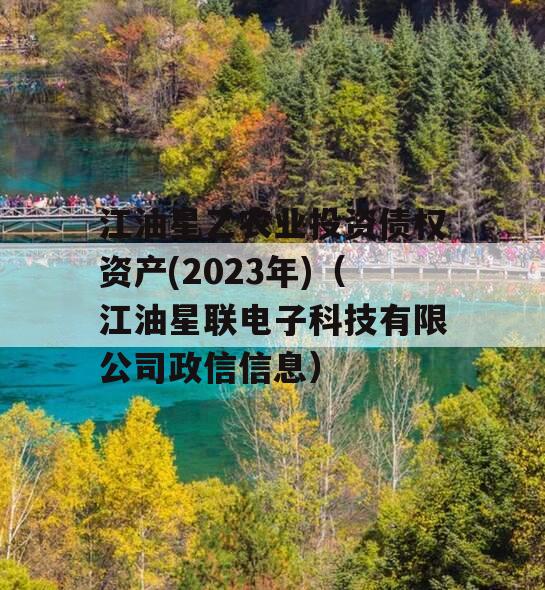 江油星乙农业投资债权资产(2023年)（江油星联电子科技有限公司政信信息）