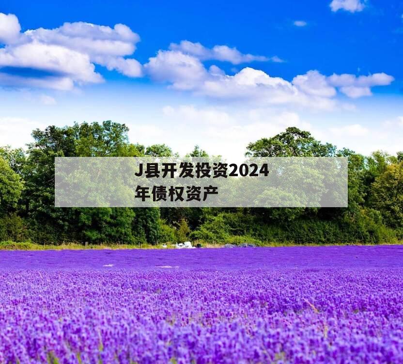 J县开发投资2024年债权资产