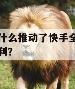 是什么推动了快手全面盈利？