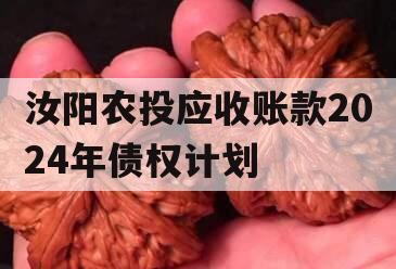 汝阳农投应收账款2024年债权计划
