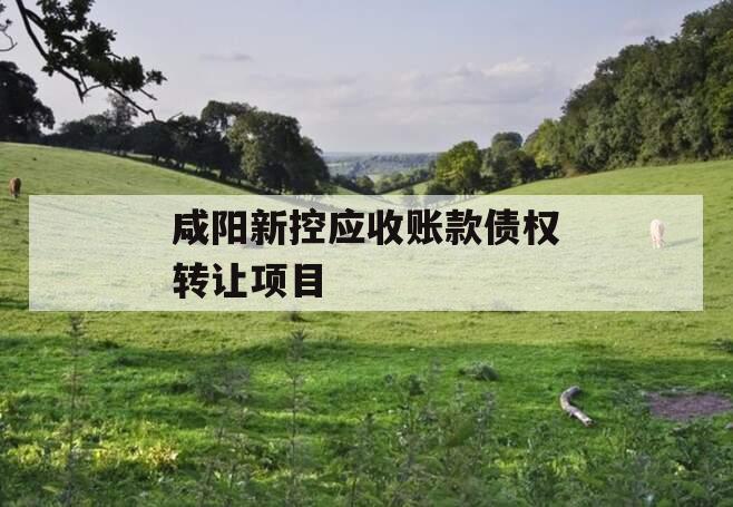 咸阳新控应收账款债权转让项目