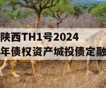 陕西TH1号2024年债权资产城投债定融