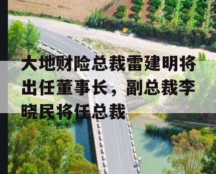 大地财险总裁雷建明将出任董事长，副总裁李晓民将任总裁