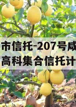 上市信托-207号咸阳高科集合信托计划