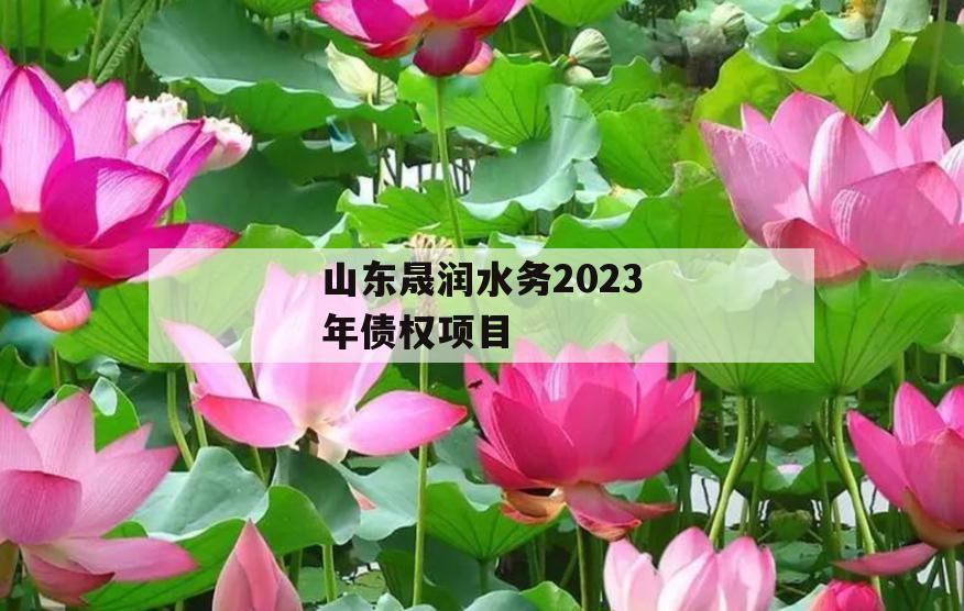 山东晟润水务2023年债权项目